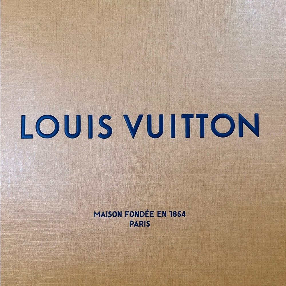 Louis Vuitton shopping bag